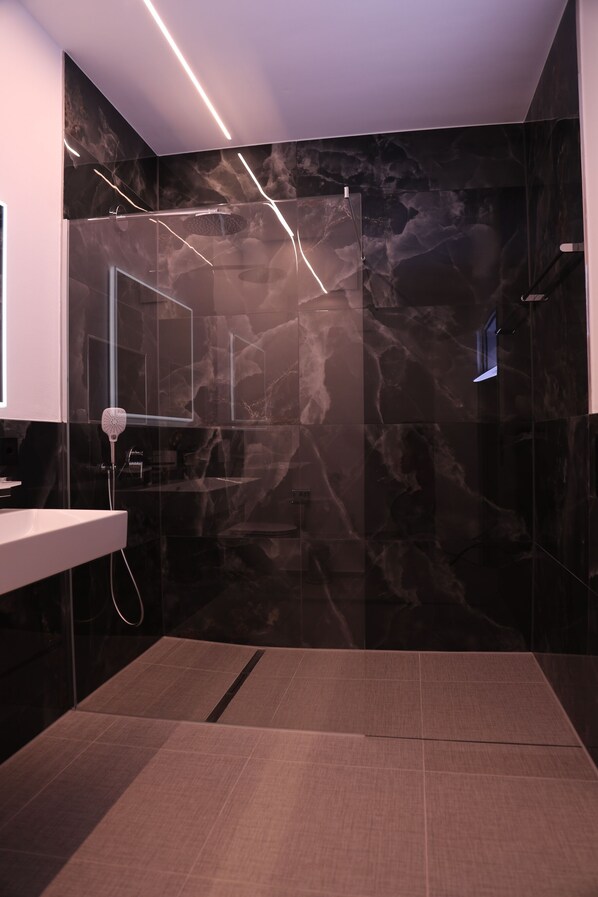 Shower, hair dryer, towels