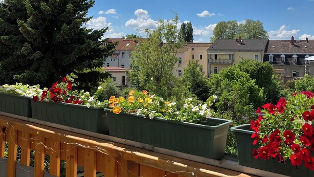 Ein Balkon mit Holellentrailings, Blumentöpfen und Blick auf Wohnhäuser unter blauem Himmel.