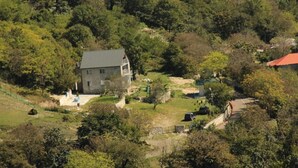 Ein Haus, umgeben von Bäumen, mit auffälligem Auffahrt und kleinem Garten.