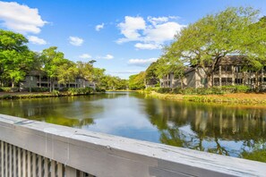 Property grounds - Stunning remodeled Turtle Cove (Kiawah Island)