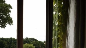 A view through a window with a view of a lake, greenery, and a building in the background. - Moulin Moulin (Dannes)