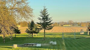 Ein grünes Feld mit Bäumen und blauem Himmel.