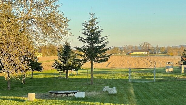 Ein grünes Feld mit Bäumen und blauem Himmel.