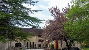 Un edificio de piedra con un patio, asientos al aire libre y un árbol con flores moradas.