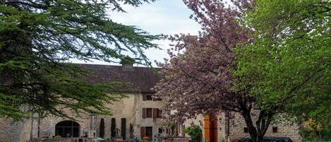 Un edificio de piedra con un patio, asientos al aire libre y un árbol con flores moradas.