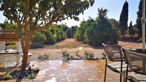 Eine Terrassenanlage mit Baum, Gartenmöbeln und Blick auf einen angelegten Garten.