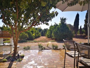 Un patio con un árbol, mobiliario exterior y vistas a un jardín ajardinado.