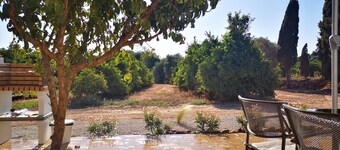 House on a farm with an orange orchard