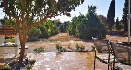 House on a farm with an orange orchard
