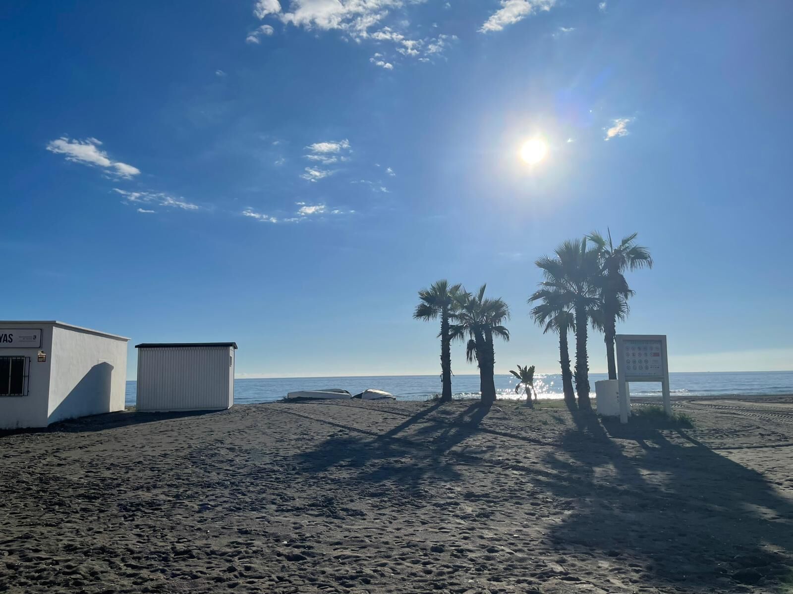 A beach with two white buildings, palm trees, and a clear sky.