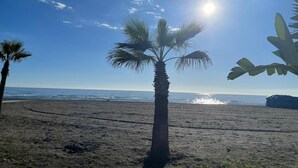En strand med palmetræ, hav og klar himmel.