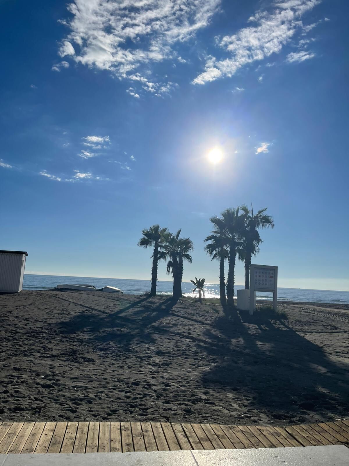 A beach with palm trees, a wooden deck, and a signboard.