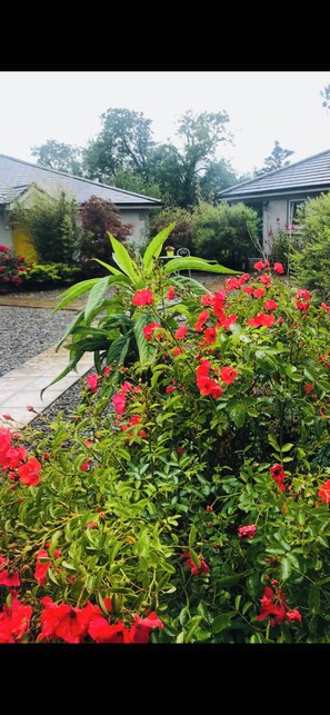 Details aan de buitenkant