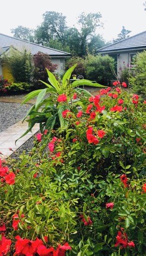 Private Room for 1 or 2 guests, countryside setting in ideal safe surroundings