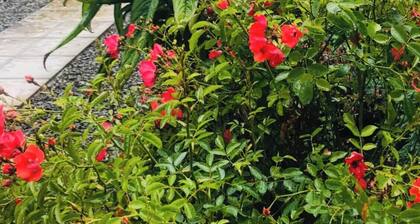 Private Room for 1 or 2 guests, countryside setting in ideal safe surroundings