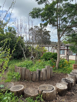 Un jardín con troncos de madera dispuestos en círculo, rodeado de plantas y árboles diversos.