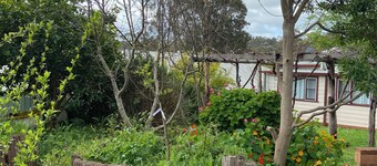 The Blackwood Retreat