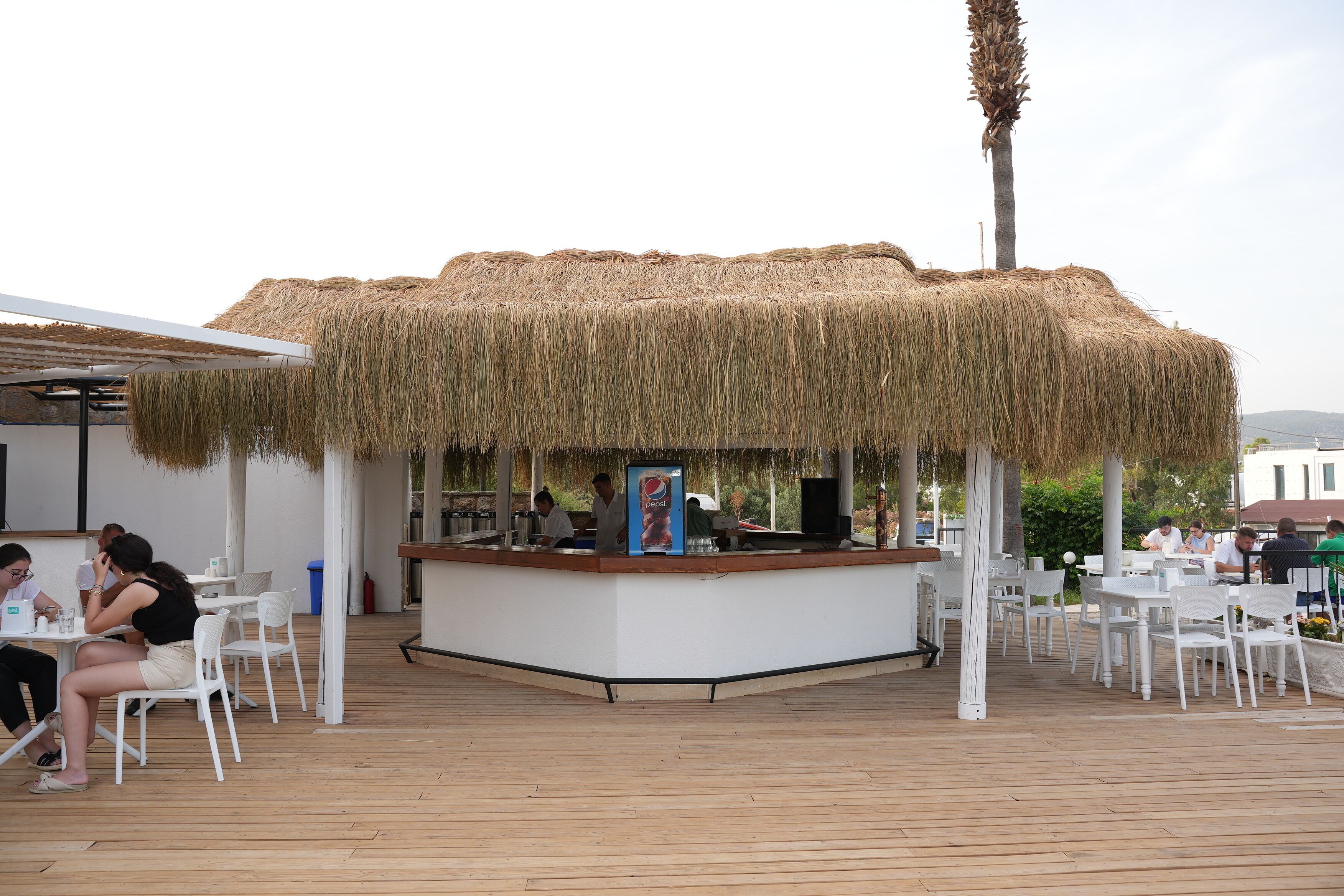 Swim-up bar