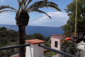 Property grounds - Casa Luisa in Capoliveri (Capoliveri)