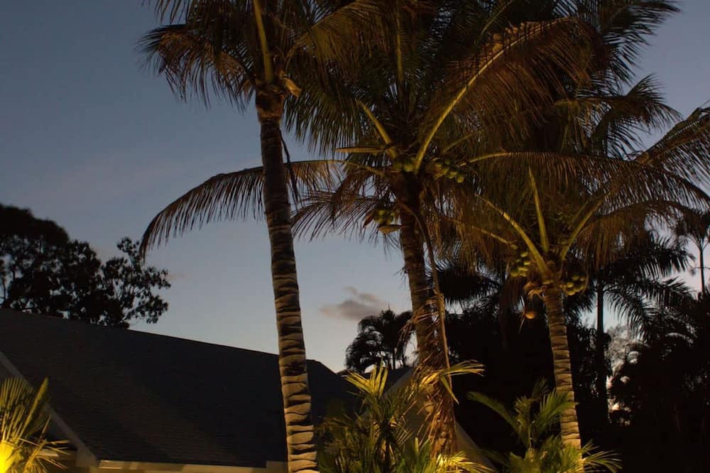 Tropical Mango Grove Stay Whiskey Creek Area