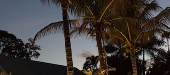 Tropical Mango Grove Stay Whiskey Creek Area