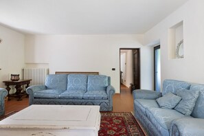 Fernseher, Kamin