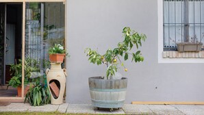 Een potplant in een houten vat naast een gebouw met een raam en een deur.