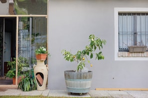 Detalle del exterior