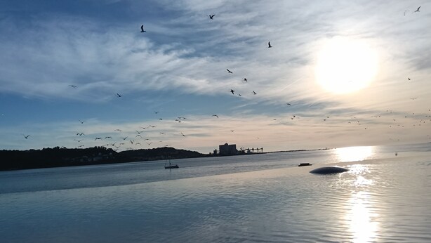 A calm river with boats, a clear sky, and birds flying. - Room-lisbon Nice & Cousy Room (Lisbon)
