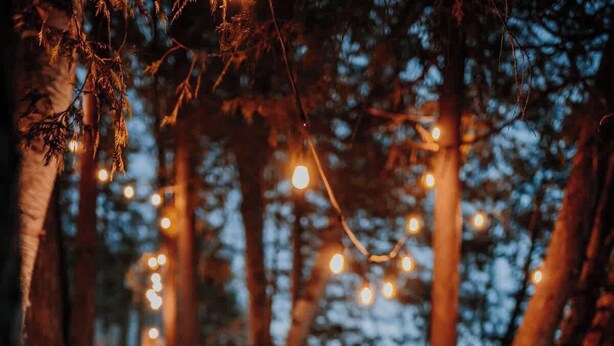 A person sitting on a wooden bench in a covered outdoor area with string lights overhead.