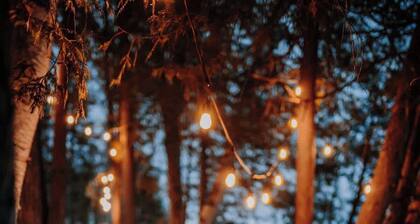 Off the Trail Cabin•Nordic Thermal Cycle