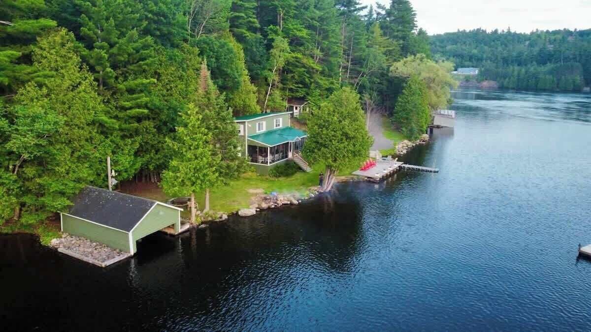 Imagen de perfil del propietario o de la propietaria