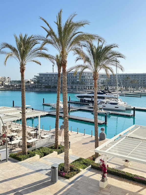 A marina with boats, palm trees, and a pool area with lounge chairs.