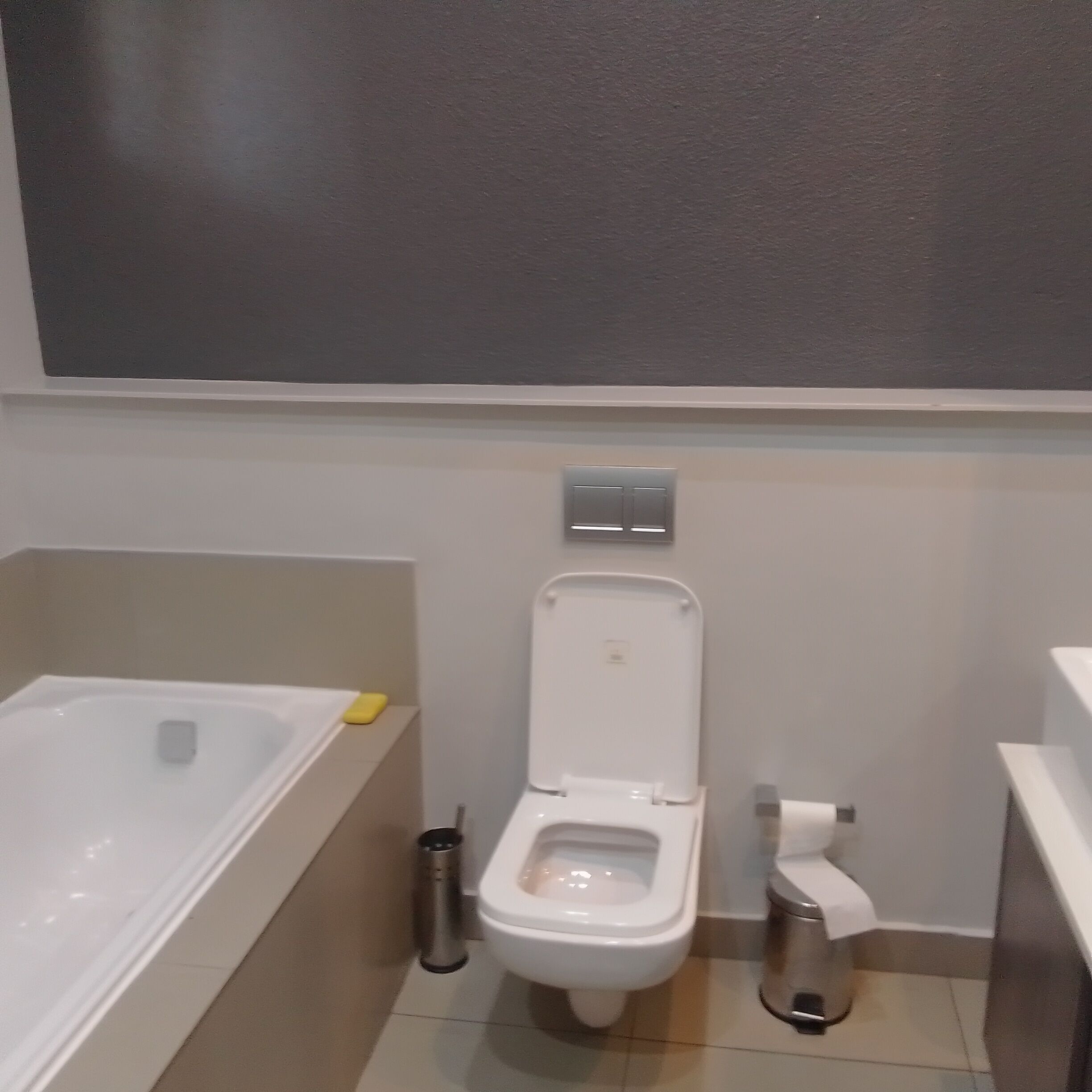 Habitación Deluxe doble, balcón, vistas al río | Baño