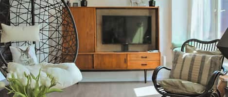 TV connectée, chaßne hi-fi