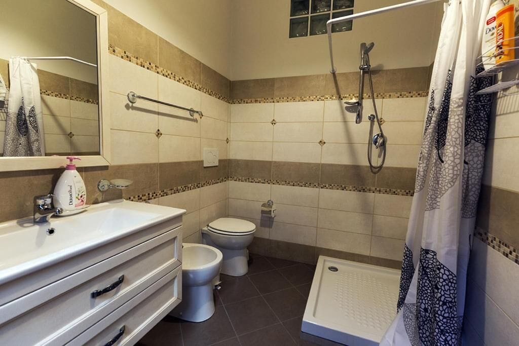 A bathroom with a white sink, a toilet, a shower, and a mirror.