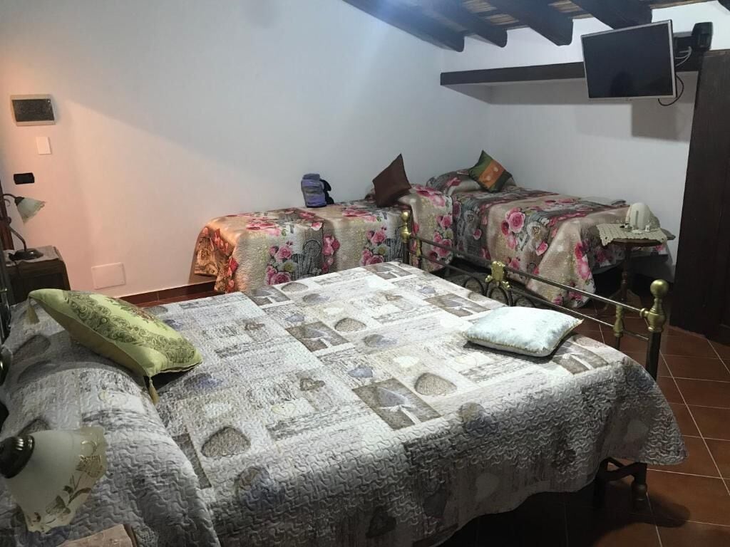 Un dormitorio con dos camas, televisión y mesita de noche.
