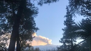 Een natuurlandschap met bomen en een berg op de achtergrond.