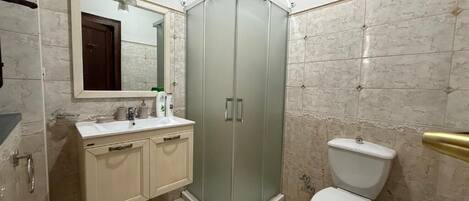 A bathroom with a glass-enclosed shower, a toilet, and a sink with a mirror above it.