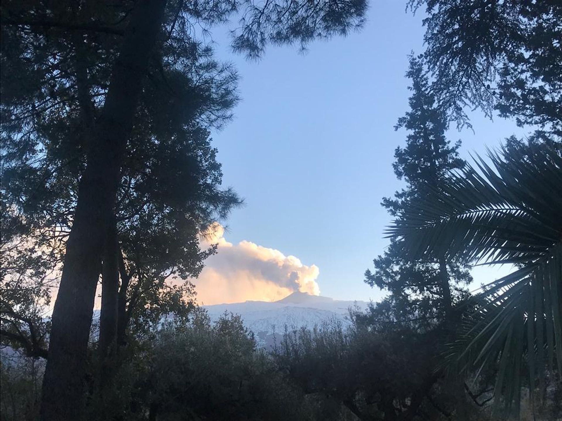 Une montagne avec un nuage au premier plan et des arbres tout autour.
