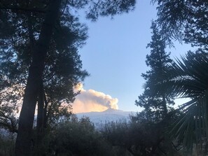 A mountain with a cloud in the foreground and trees around. - Agriturismo Sole di Sicilia (Randazzo)