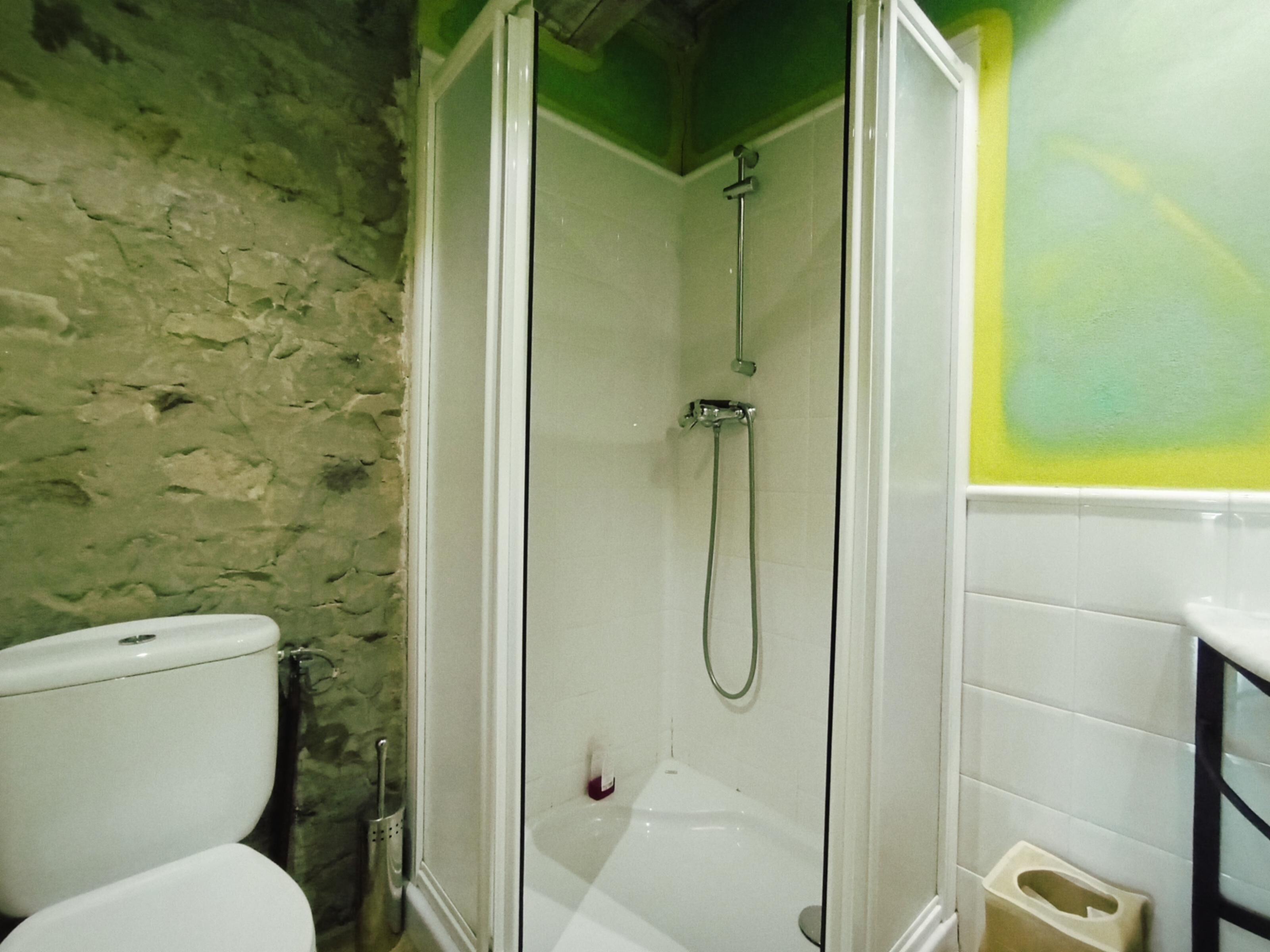 Bagno con doccia, WC e parete verde.