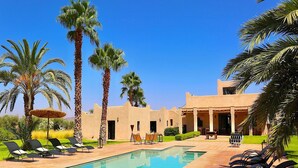 Zona de piscina amb gandules, palmeres i un edifici amb terrat pla.