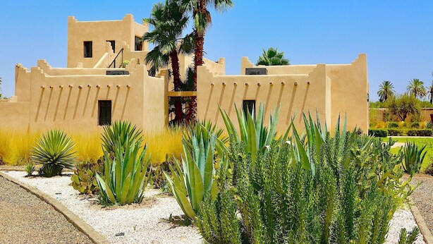 Un edifici amb façana beig, palmeres i plantes d'alga.