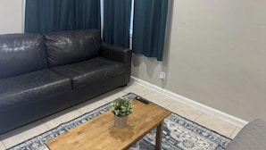 Un salon avec un canapé en cuir noir, une table basse en bois ornée d’une plante et un tapis à motifs.