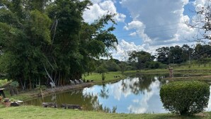 Eine begrünte Fläche mit Teich, Bäumen und blauem Himmel.