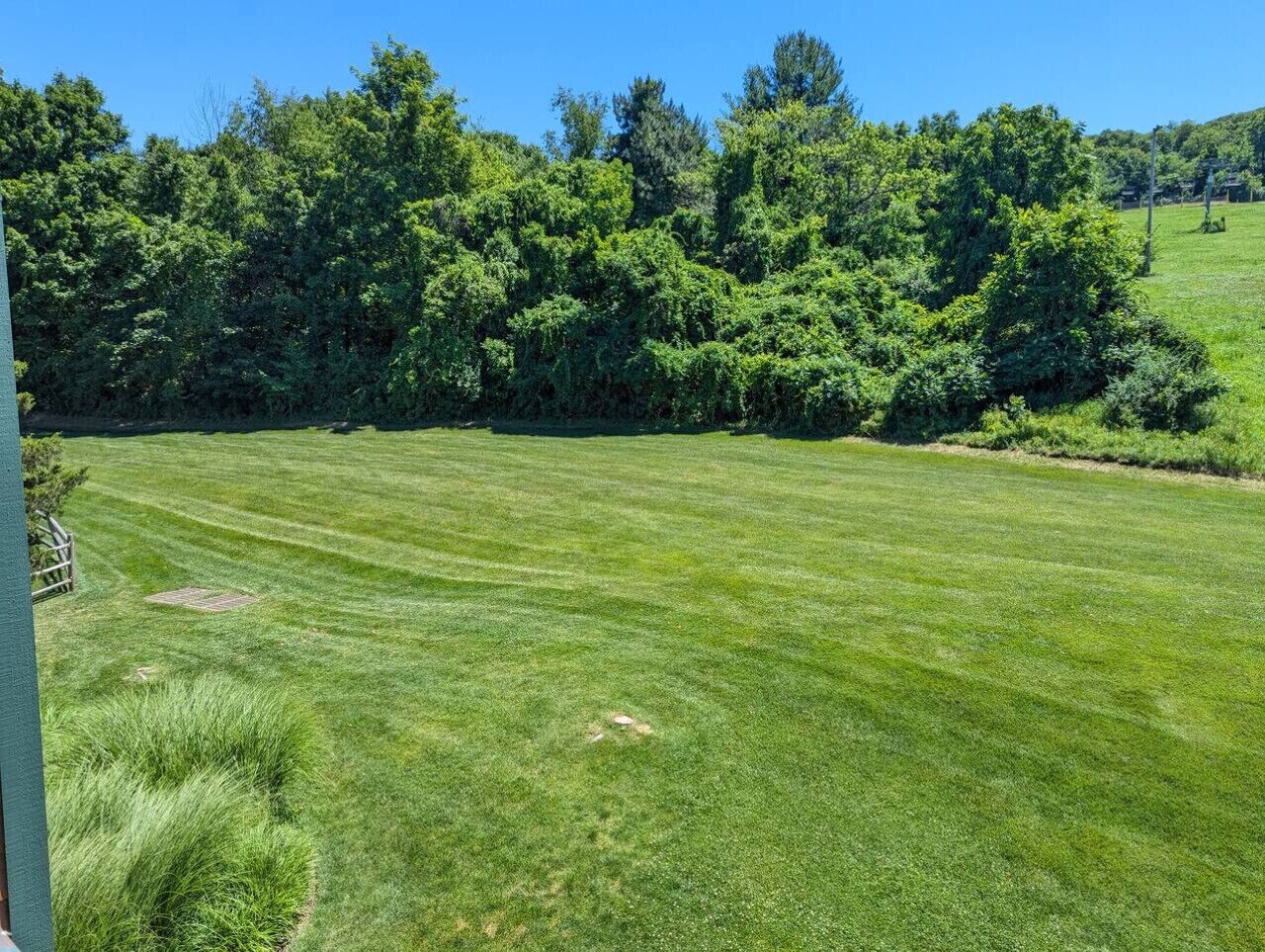 A grassy field with a wooden fence and trees in the background.
