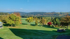 A greenhouse, a grassy field, and trees with autumn foliage. - Haus Gloriosa: Where Black Forest tradition meets pure relaxation. (Bonndorf im Schwarzwald)