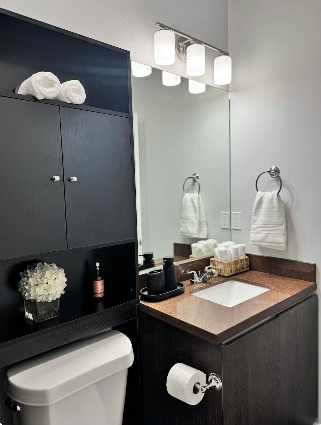 Hair dryer, towels, soap, toilet paper