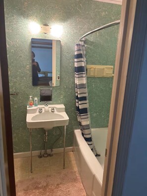 Bathroom - Spring fed Lake front home floating dock and boats (Milford)